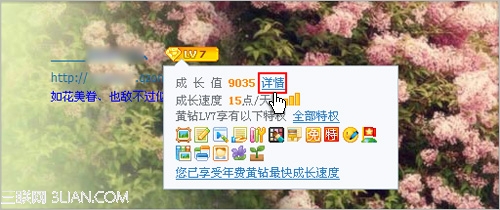 如何查看黄钻等级特权？  三联