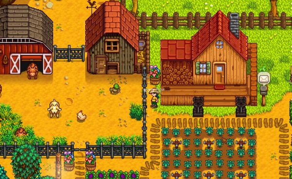 ��¶�����ﻨ���÷�������