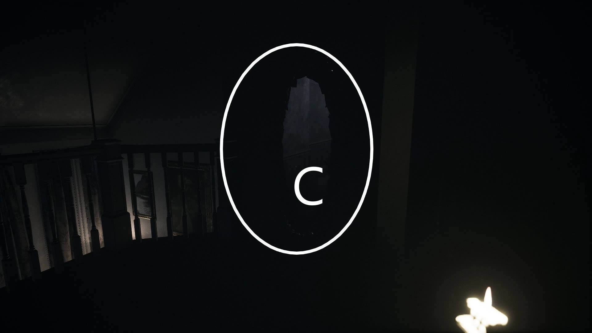 ��Visage���ݡ�ȫ�ɾ�ͼ��ͨ�ع���