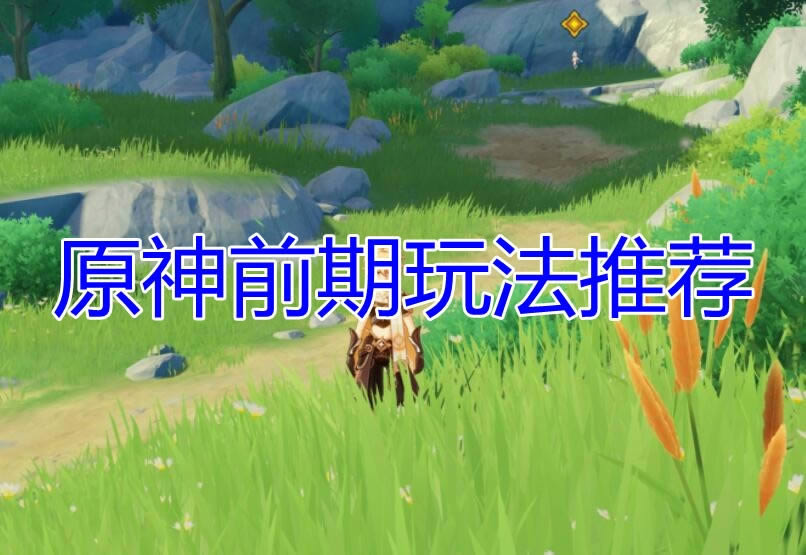 ����ɭ��ƻ���������ʹ�ý̳�