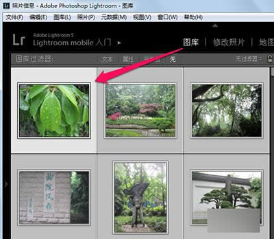 lightroomͼģʽôʹã