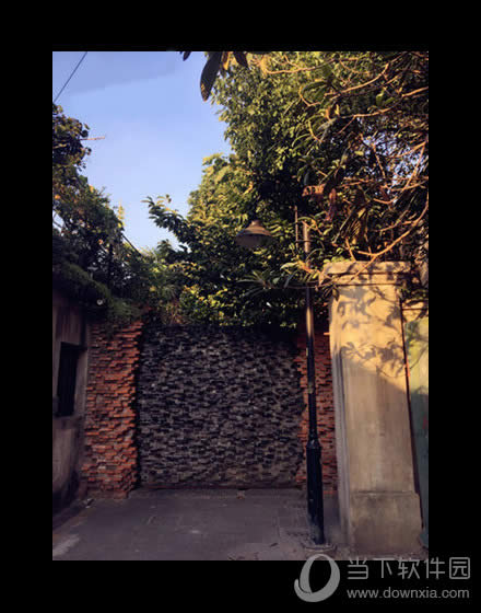 ��Project-T����Ŀ���з�����