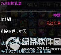 dnfsao���������ô��� ��ʲô����1