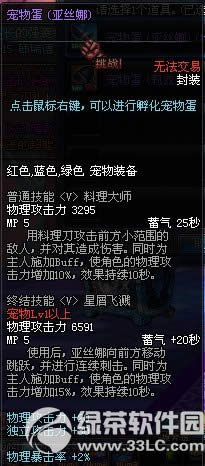 dnfsao���������ô��� ��ʲô����2