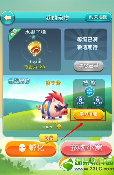 ���찮�����鼼�ܴ���� �ۼƳ鼼�ܵý�Ʒ