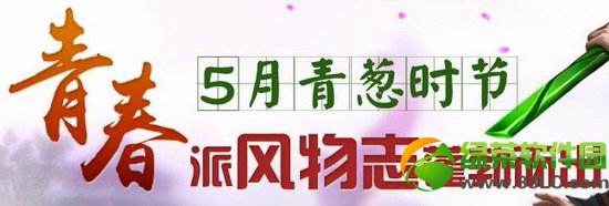 ȫ��ɻ���ս������ʦ������ô�� ��ʲô��