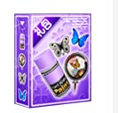 跑跑卡丁车淡紫色礼包多少钱 淡紫色礼包有什么奖励1