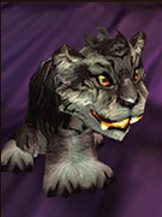 魔兽夜刃豹幼崽怎么获得 魔兽世界wow夜刃豹幼崽属性图