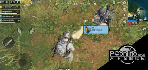 绝地求生刺激战场哪里的鸡多 刺激战场鸡刷新点