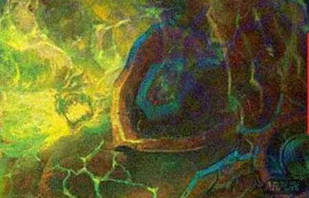 魔兽世界地精老司机怎么玩 地精老司机攻略