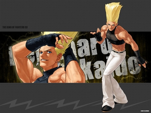 拳皇97(kof97)二阶堂红丸出招表与连续技