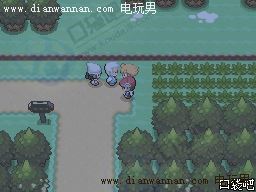 �ڴ����ְ׽�һ��Ŀͼ�Ĺ��� ȫ�����������