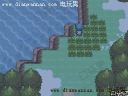 �ڴ����ְ׽�һ��Ŀͼ�Ĺ��� ȫ�����������