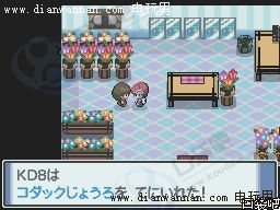 �ڴ����ְ׽�һ��Ŀͼ�Ĺ��� ȫ�����������