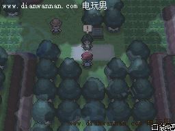 �ڴ����ְ׽�һ��Ŀͼ�Ĺ��� ȫ�����������