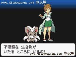 NDS�ڴ����ֺڰ�2һ��Ŀͼ�Ĺ��� �����������