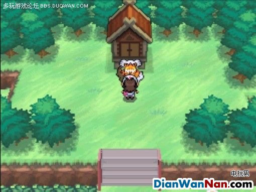 NDS《口袋妖怪 黑白》三位天神的捕捉心得