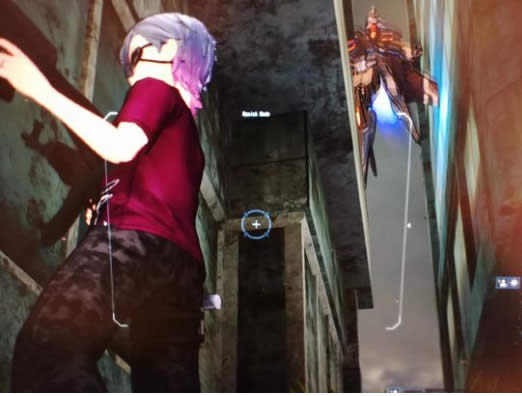 ������������׵�