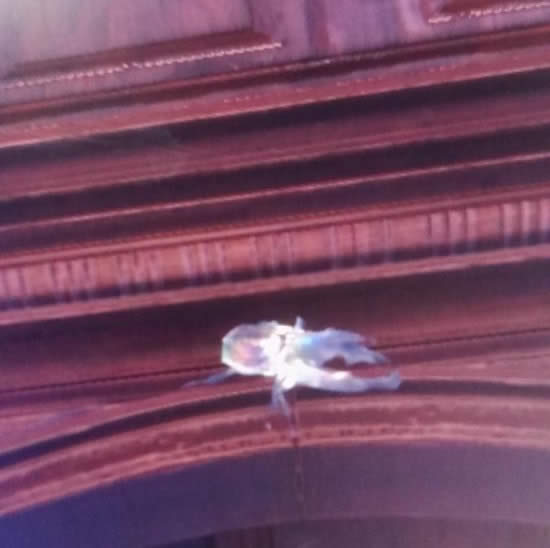 ������������