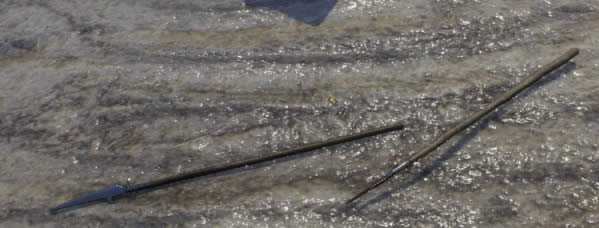 �������