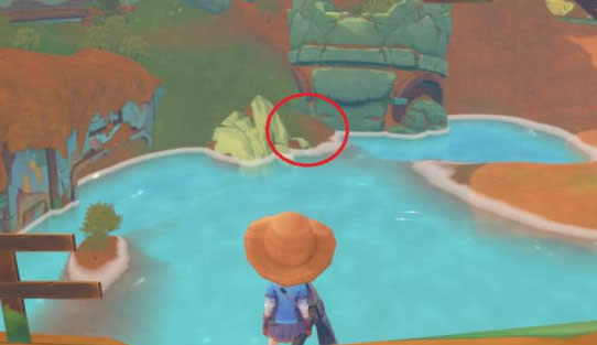 ������ʱ��