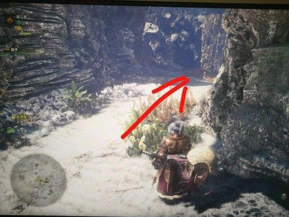 ������������