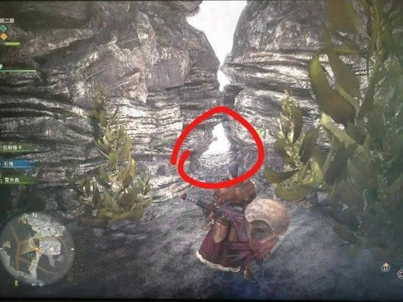 ������������