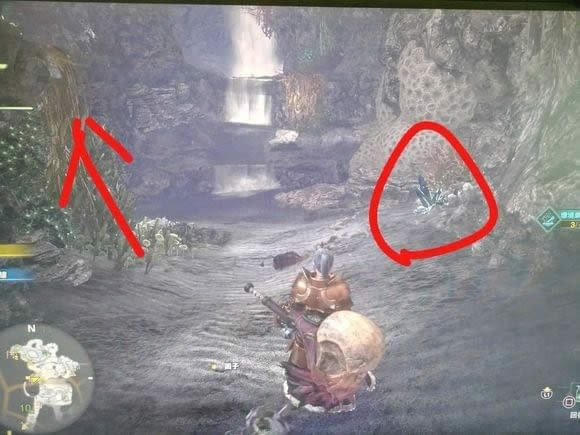 ������������