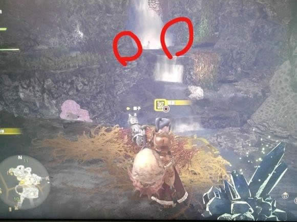 ������������