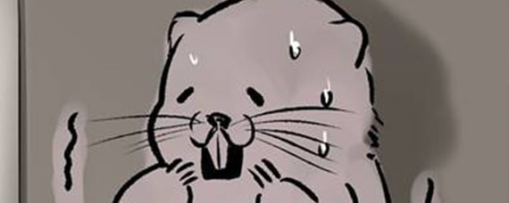 竹鼠活下去怎么玩