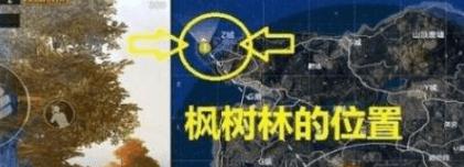 �̼�ս�����غ���Ұ�͵����� �̼�ս�����غ���Ұ�͵�λ�����