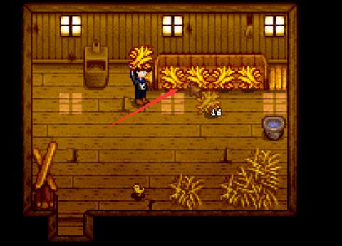 星露谷物语怎么养鸡