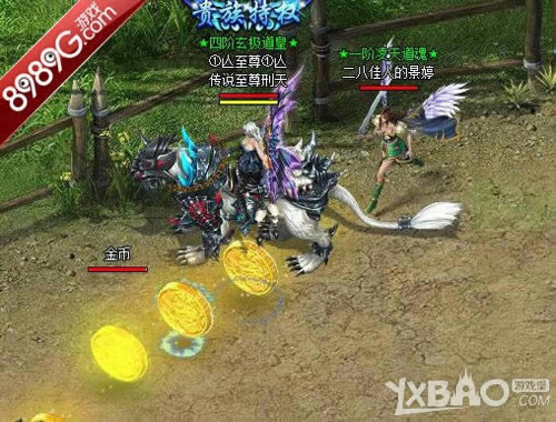 �������������� 8989G����˫��������ܻ��ֶ�