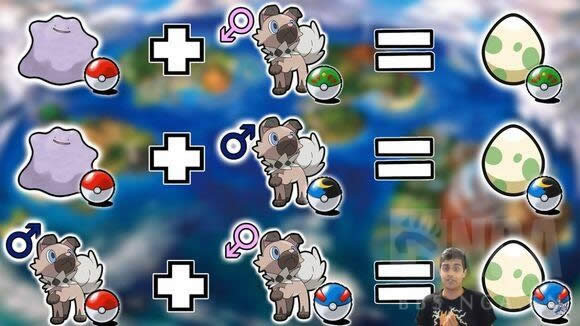 口袋妖怪日月怎么进行极限训练 精灵宝可梦极限训练条件