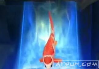 ������ҫ���Դ������Ӣ���д��ǵĳ��ﾹ��Ͽ����ǿ