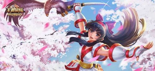 王者荣耀KPL冠军阵容英雄哪个厉害