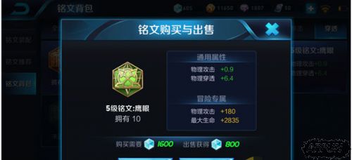 ������ҫ����5��������ʲô�� ����5������ѡ�����