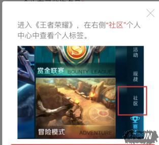 王者荣耀王者标签在哪里看?王者标签怎么查看方法介绍王者荣耀王者标签在哪里看?王者标签怎么查看方法介绍