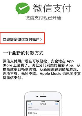 App Store΢֧ʽApp Store΢֧ʹͼϸ̳