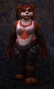 7.0������Ϸ�������ݻ��ܣ��û���ߵ����