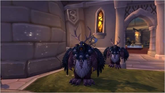 7.0新道具纳西莎的反射镜:将宠物变成自己