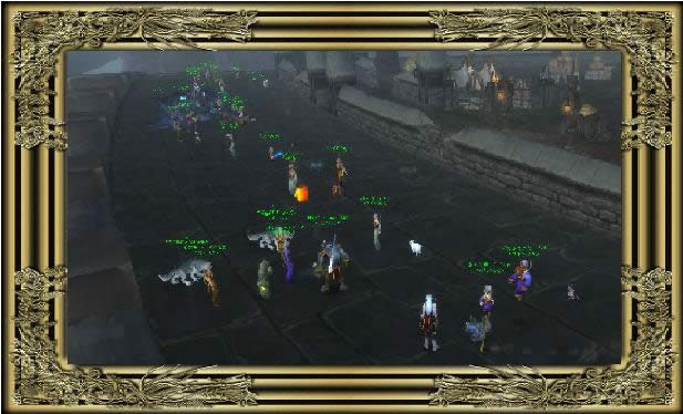 宠物对战强力组合回顾 宠物对战强力组合回顾