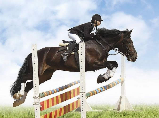 魔兽布甲幻化分享:盛装舞步马术骑手套装