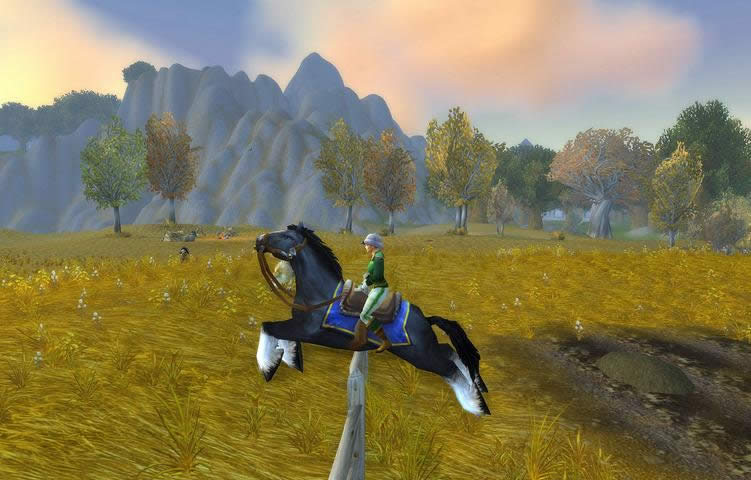 魔兽布甲幻化分享:盛装舞步马术骑手套装