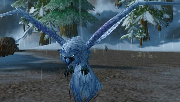 wow白色猫头鹰小宠物本周6将停止刷新