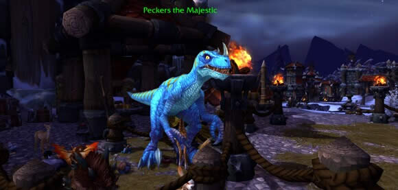 wow要塞宠物：只需1秒 威严的派克斯带回家