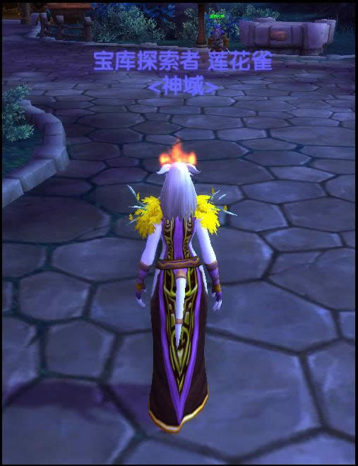 德莱尼皮甲幻化：凸显曲线性感紫色裙装